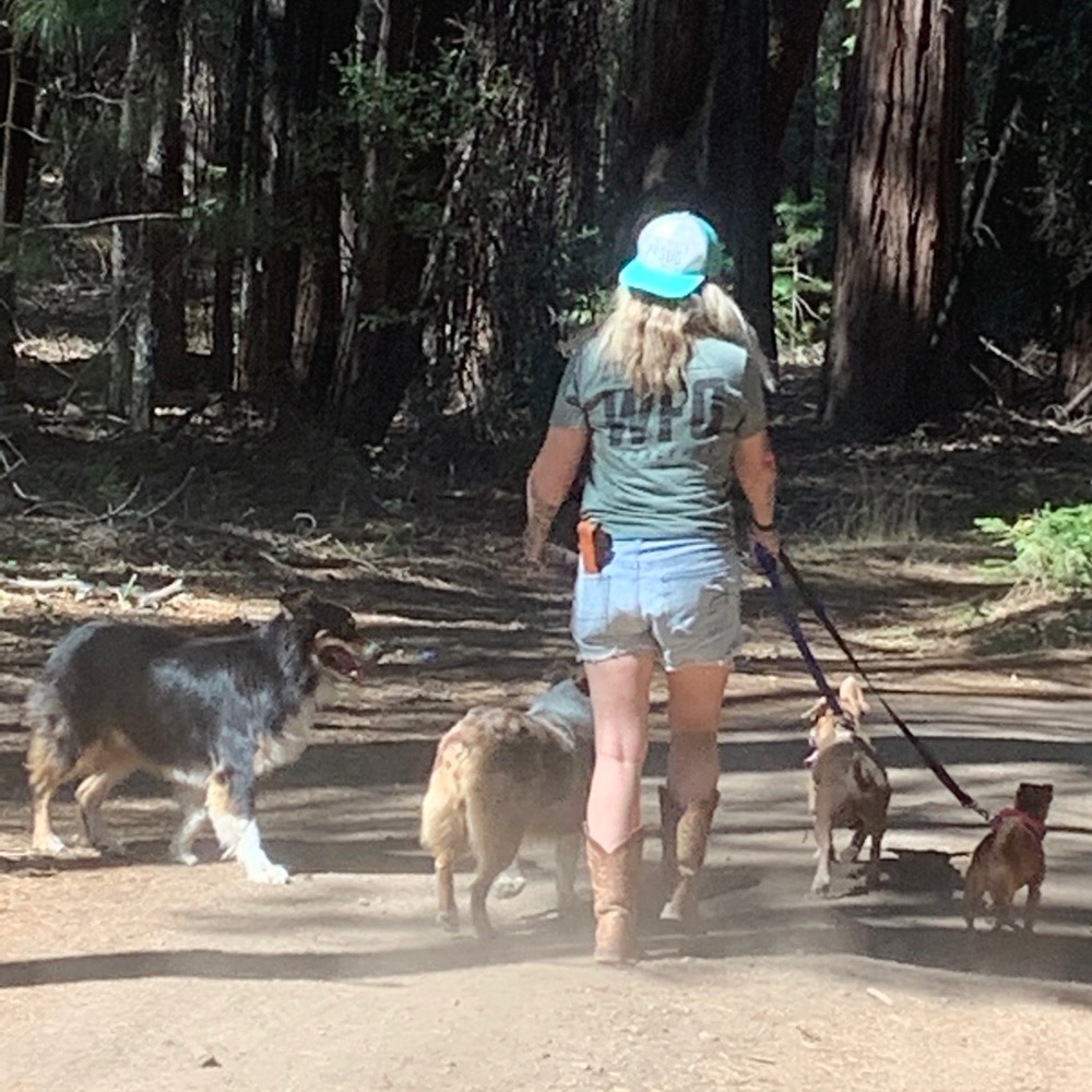 Meet your Posher, Rebecca